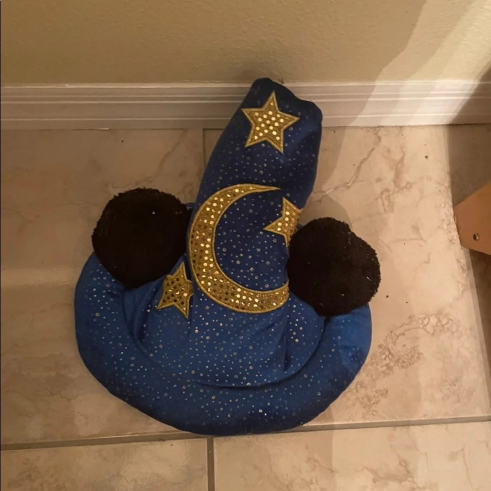 Disney Fantasia hat